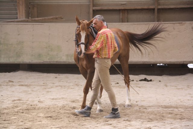 Juin 2010